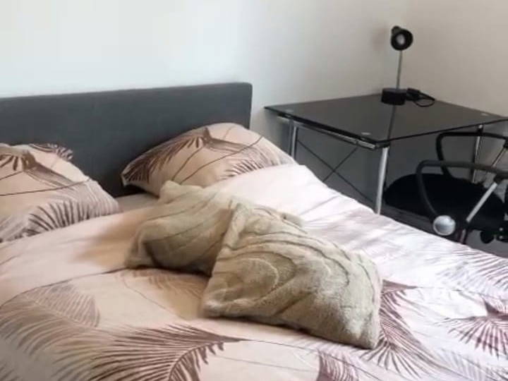 Colocation Pessac 542030-5