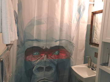 Colocation à louer à Montréal - salle de bain-13