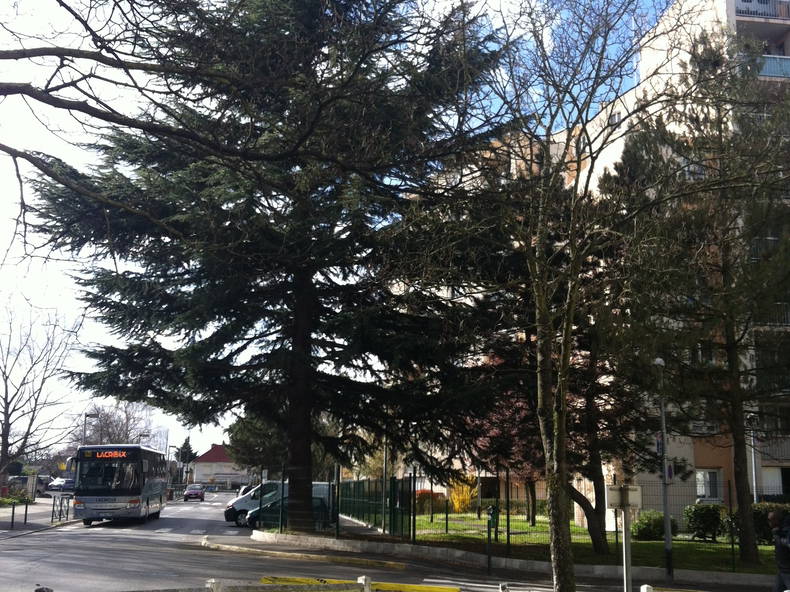 Kolokation Franconville 105008-4