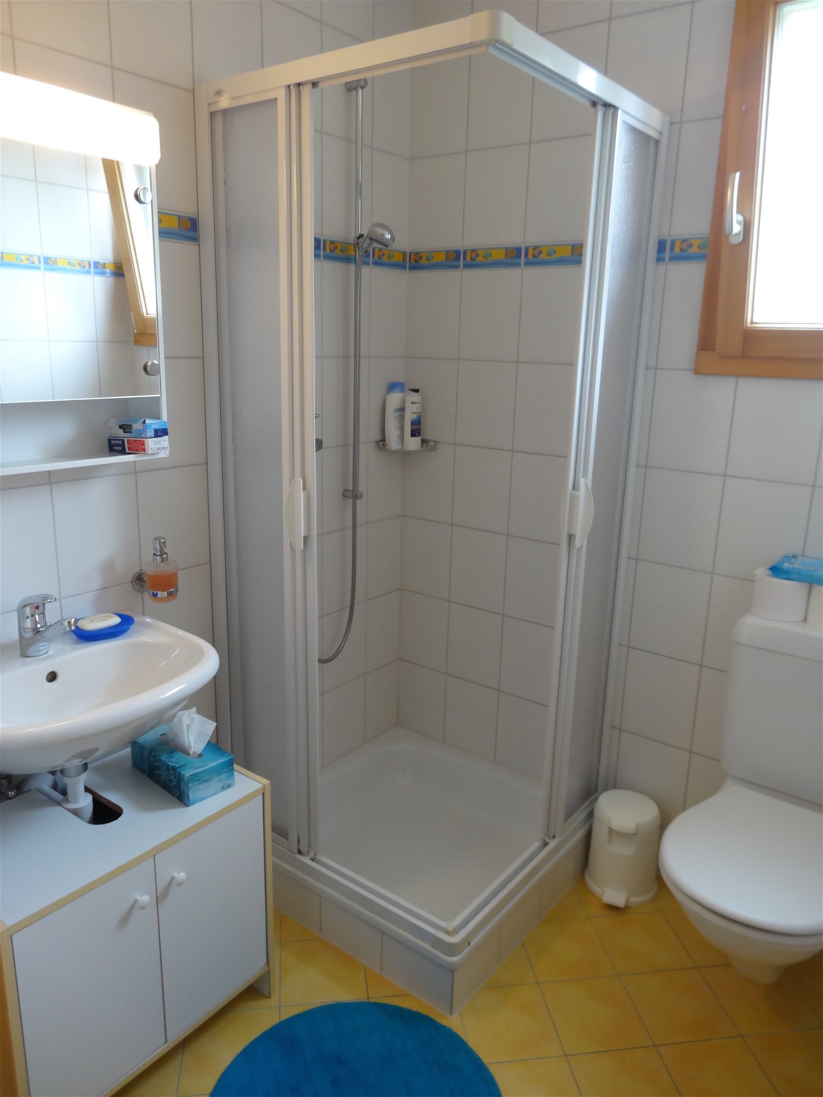 Colocatie Lausanne 245926
