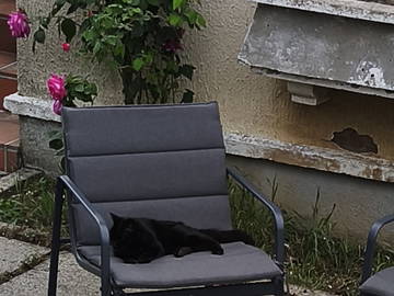 Colocation à louer à Pamiers - photo 4 : autre pièce-4