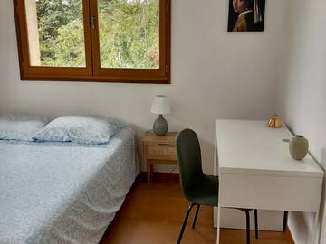 Chambre chez l'habitant à louer à Le Perreux-Sur-Marne - photo 1 : chambre-1
