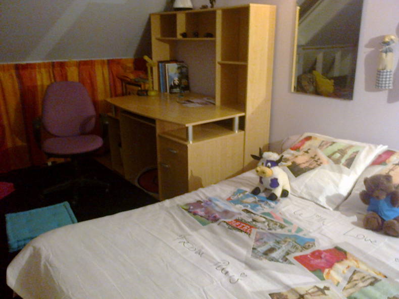 Chambre Chez L'habitant Lieusaint 99347-4