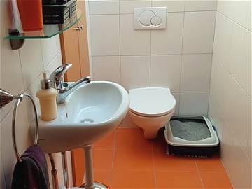 Chambre chez l'habitant à louer à Orbe - photo 6-6