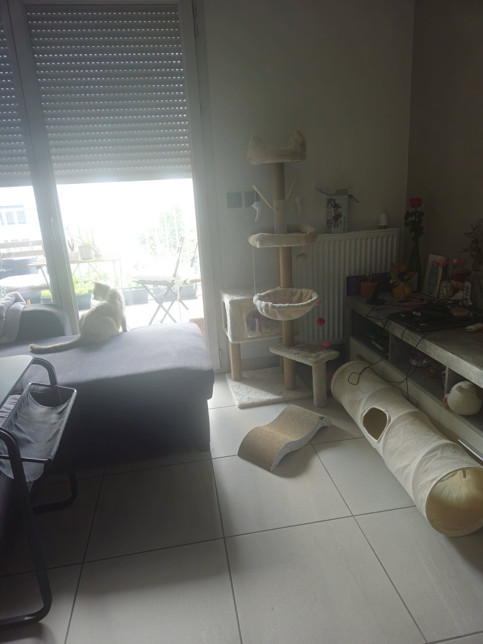 Colocation Villeurbanne 672083