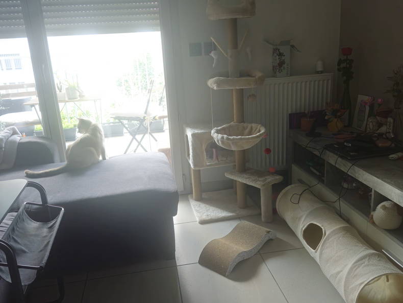 Colocation Villeurbanne 672083-4