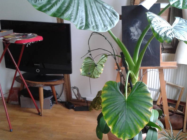 Famiglia Paris 165611-1