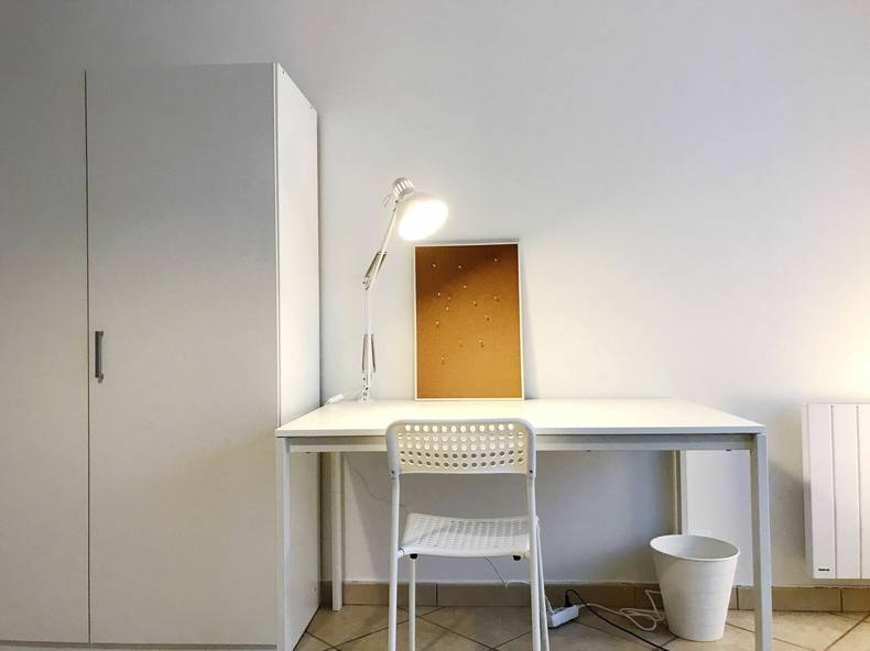 Colocation Lyon 191659-2