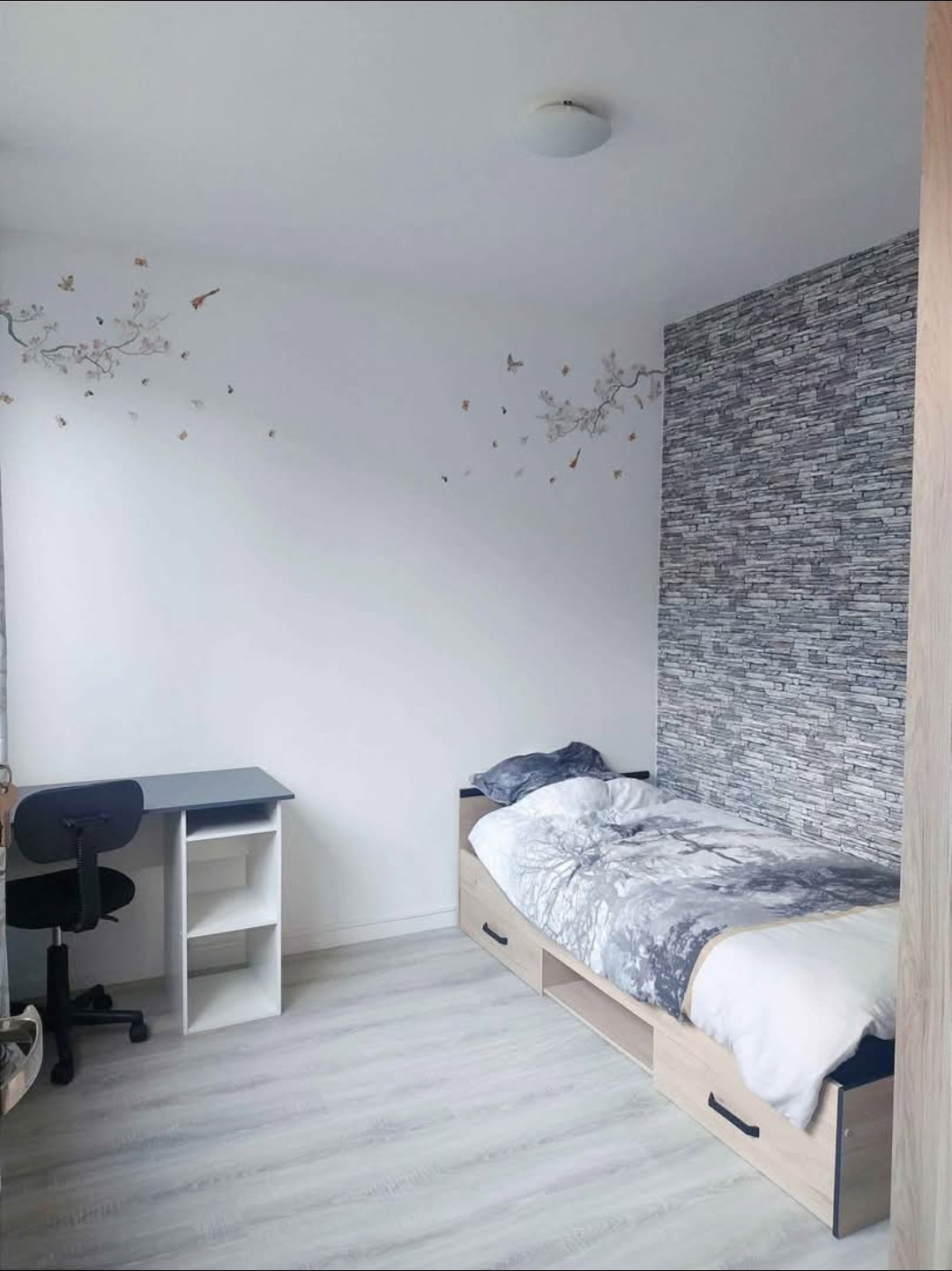 Colocation Argenteuil 665997