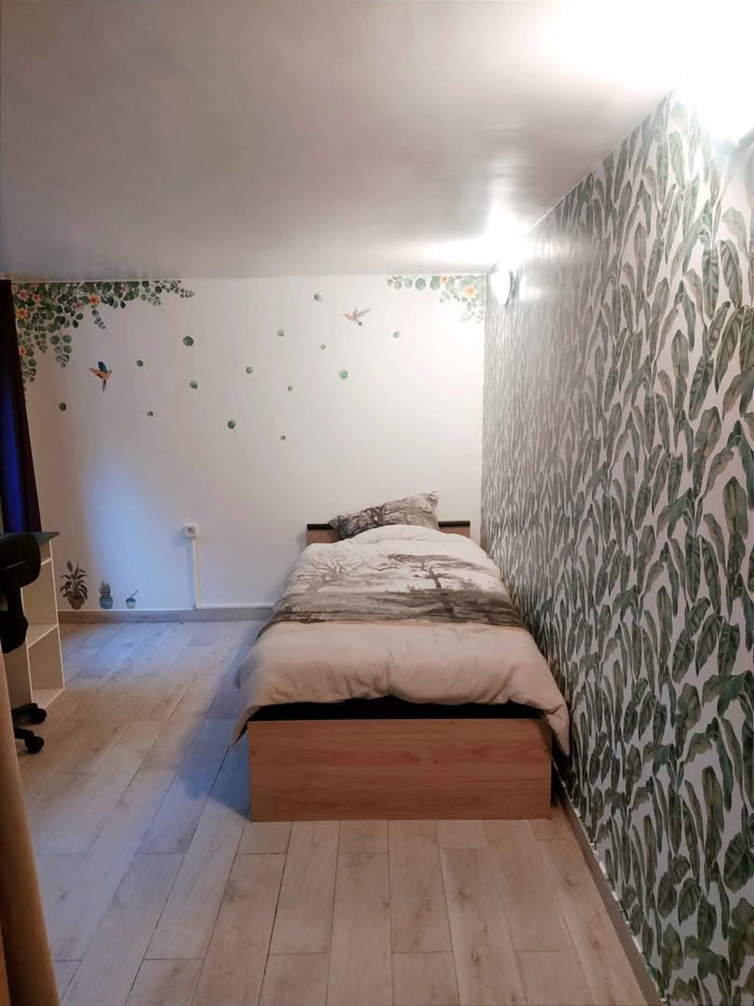 Colocation Argenteuil 667008