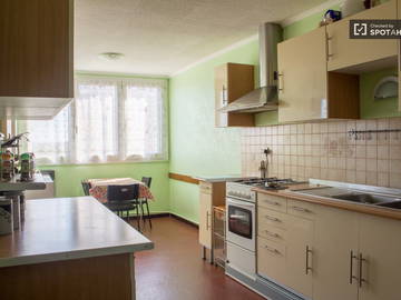 Colocation à louer à Villeurbanne - photo 6 : autre pièce-6