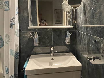 Chambre chez l'habitant à louer à Eysins - photo 3 : salle de bain-3