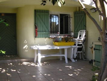 Kolokasie Lattes 135616-1