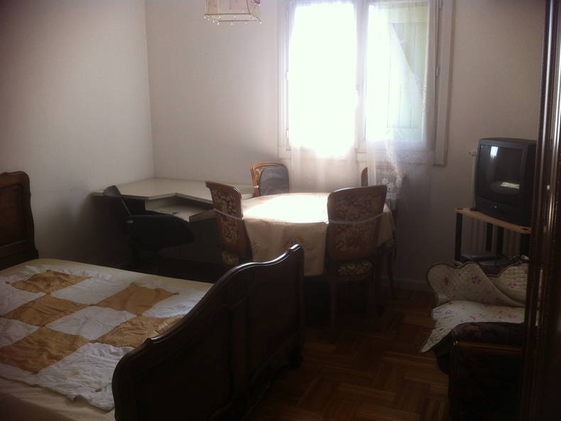 Kolokasie Lattes 135616-2