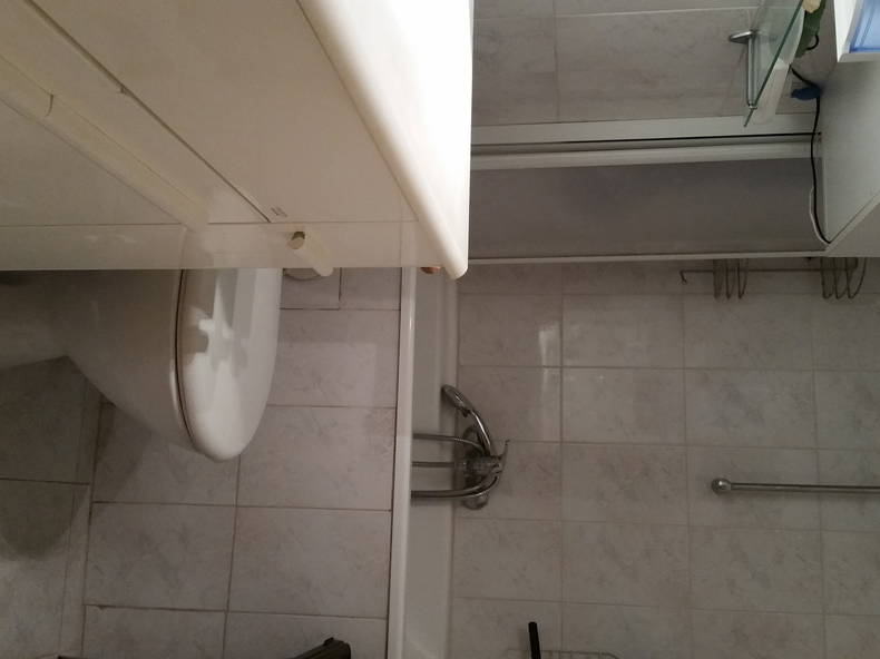 Kolokasie Lattes 135616-3