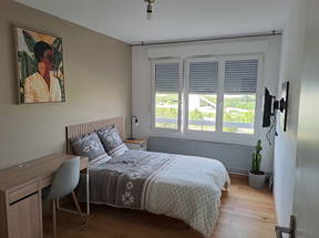 Furnished room in a mini-studio style