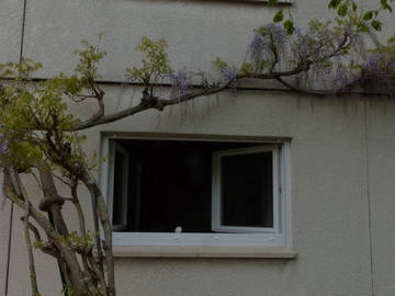 Chambre Chez L'habitant Marly 10402-4