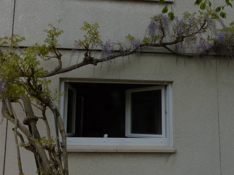 Gastfamilie Marly 10402-4