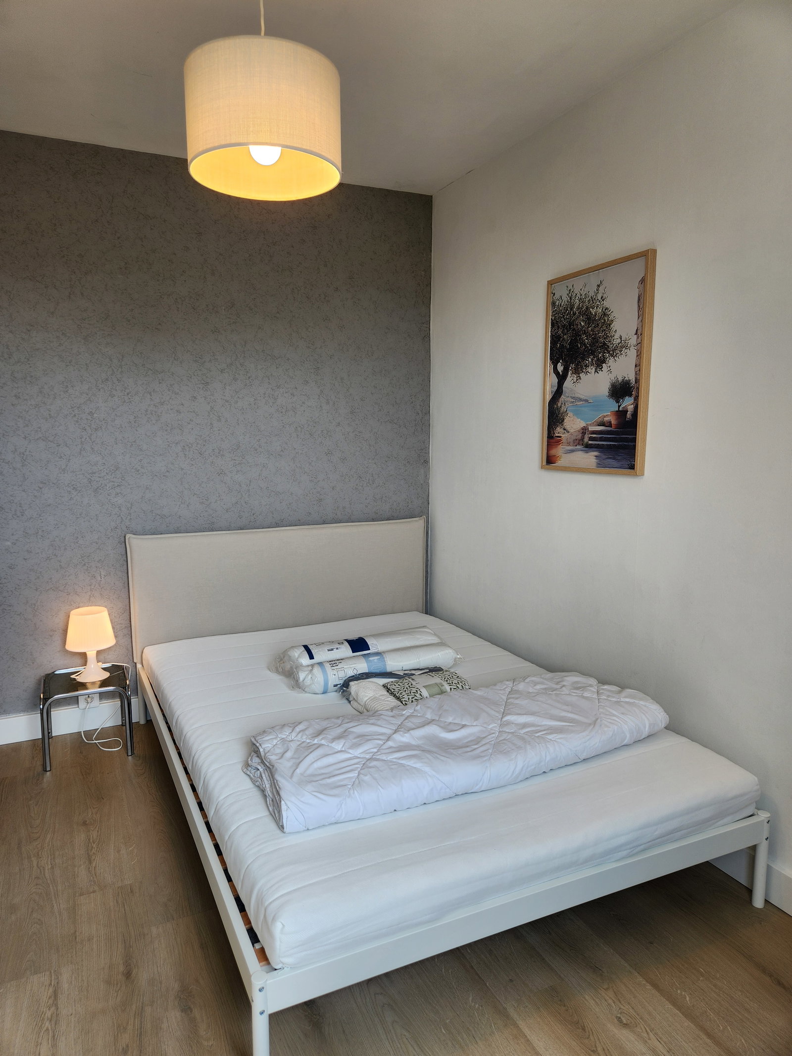 Chambre Chez L'habitant Toulouse 238954