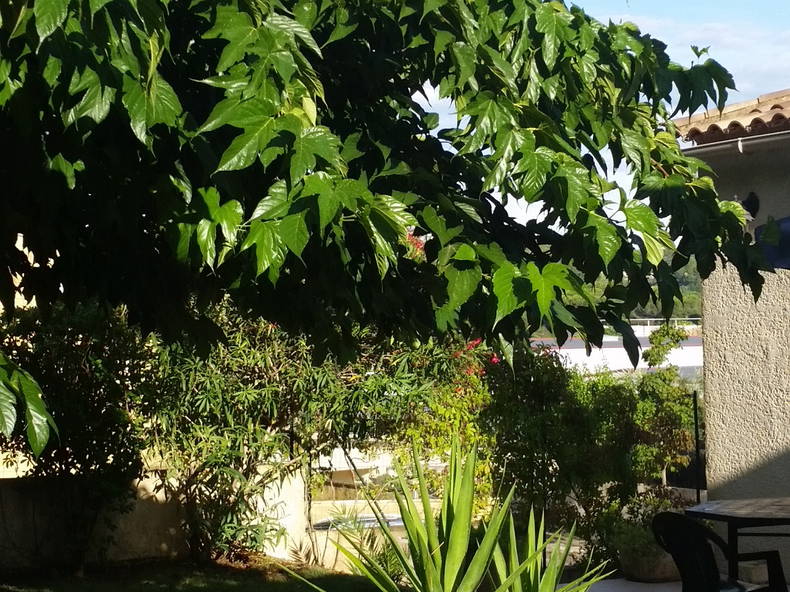 Chambre Chez L'habitant Jacou 112532-3