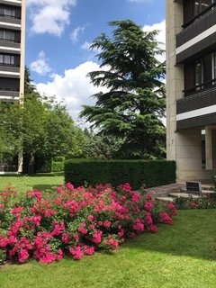 Kotimajoitus Versailles 256094