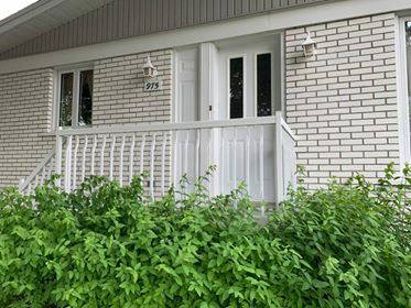 Colocation Longueuil 245907-3