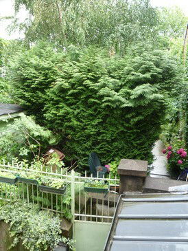 Oberoende Studio Versailles 102735