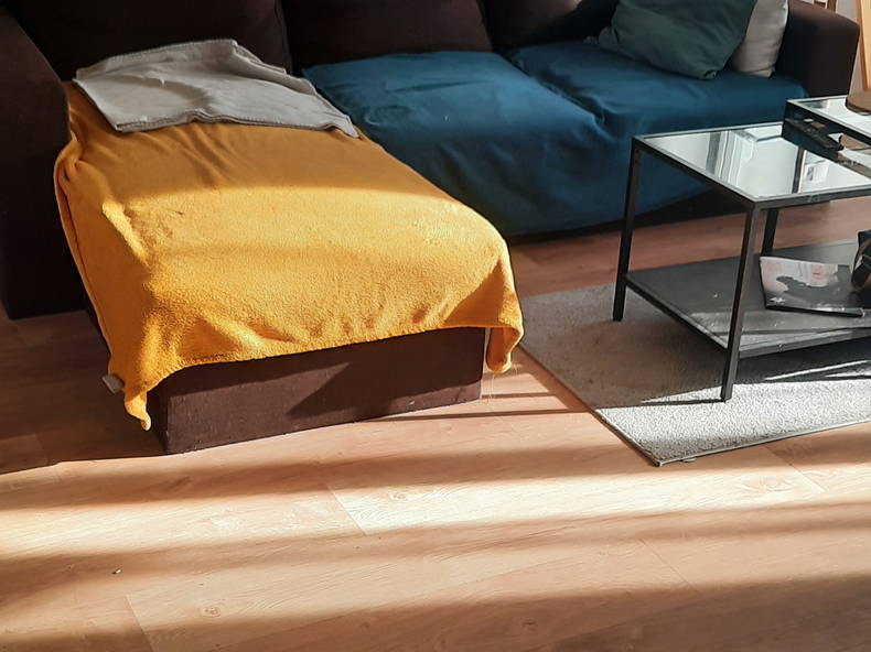 Colocation Dijon 485774-4