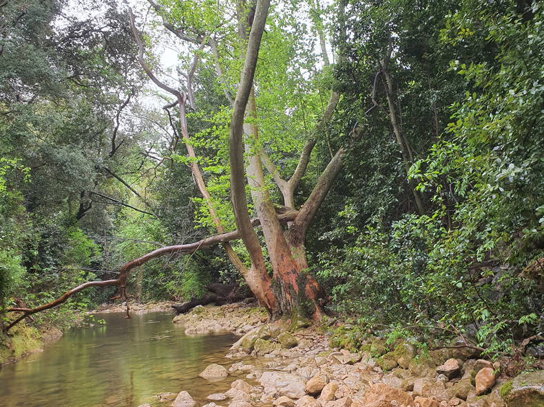 Zakwaterowanie U Rodziny Toulon 322939-4