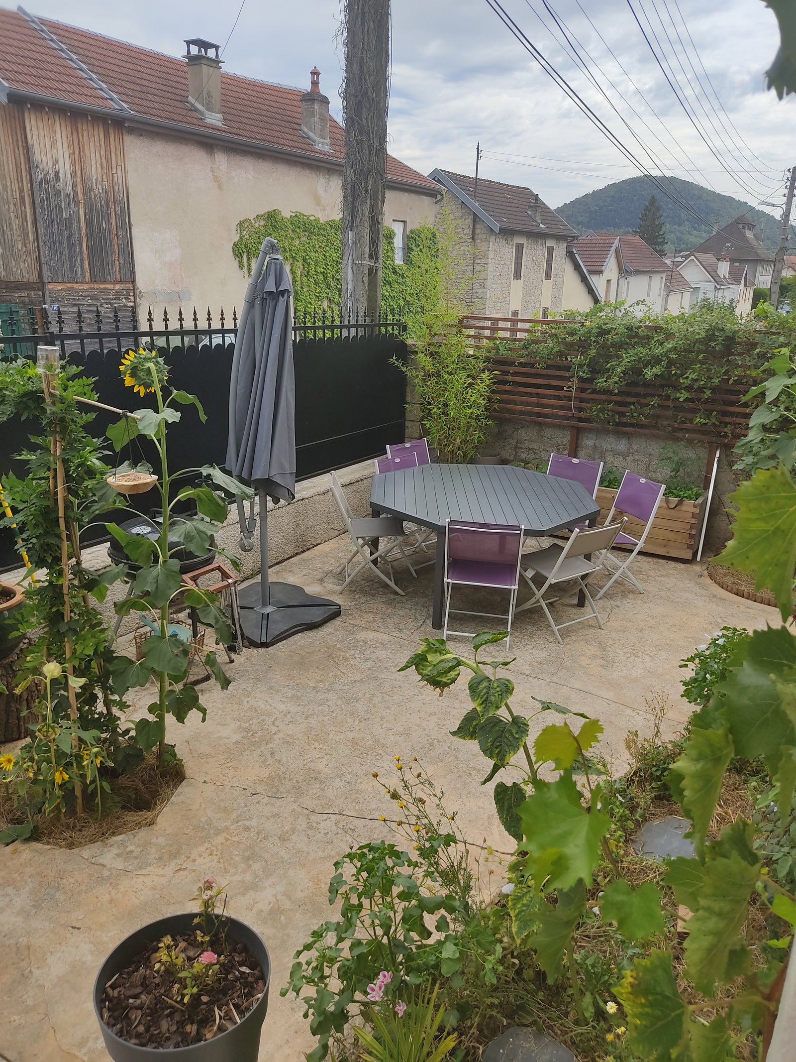 Chambre Chez L'habitant Besançon 251623