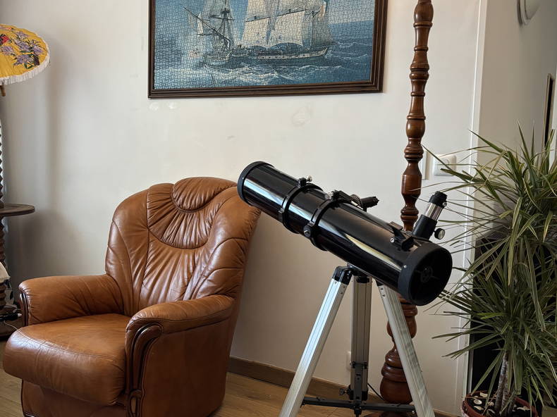 Colocation Ferney-Voltaire 515739-2