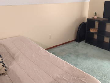 Homestay for rent in Montréal - photo 9 : Other room-9