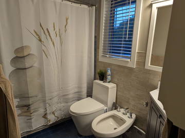 Homestay for rent in Montréal - photo 2 : Bathroom-2