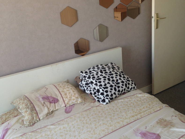 Colocation Choisy-le-Roi 117818-3