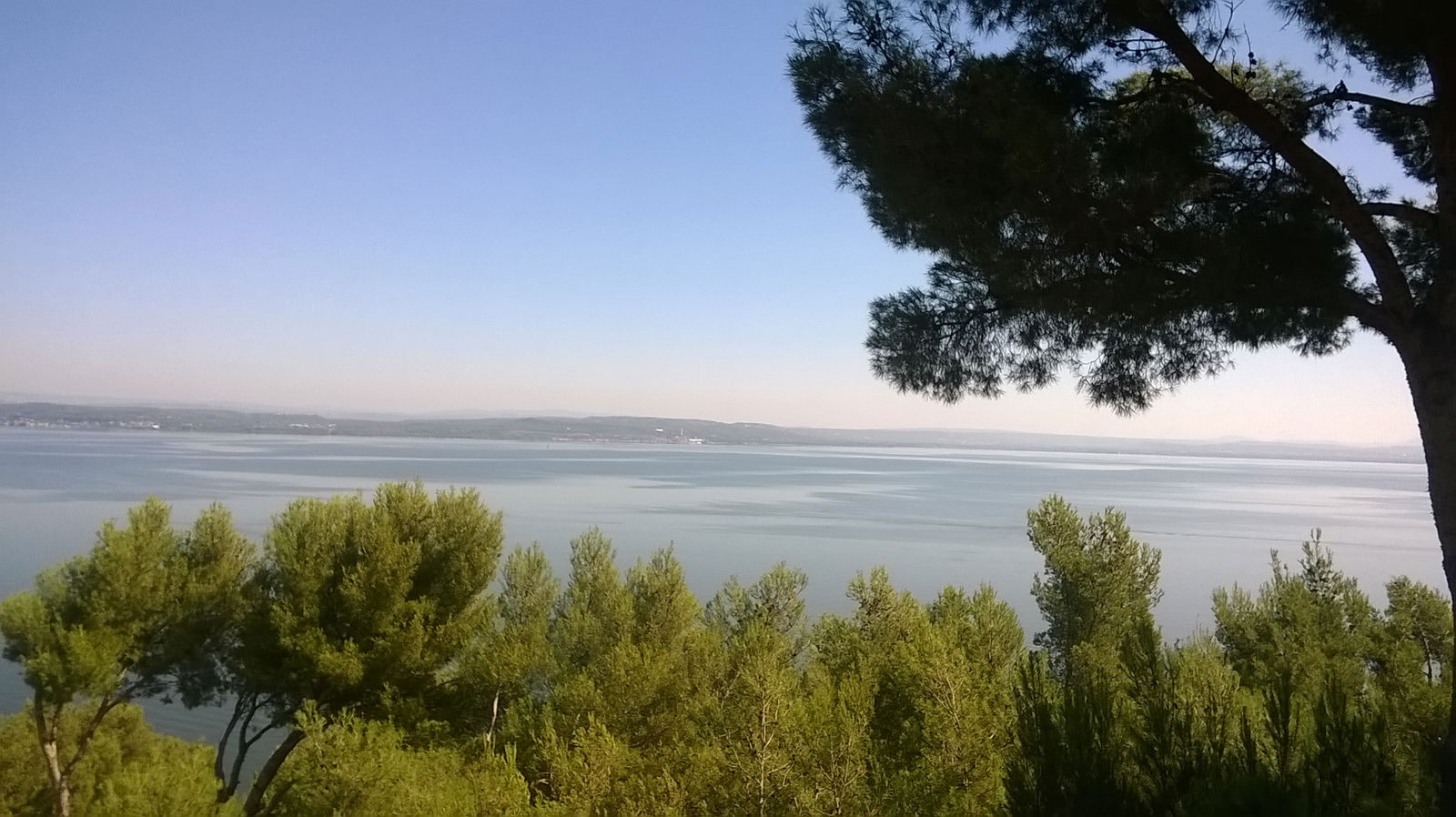 Studio Indépendant Istres 124276