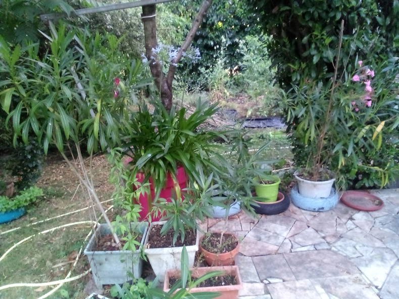 Hospedagem Em Casa De Família Erdre-en-Anjou 561490-4