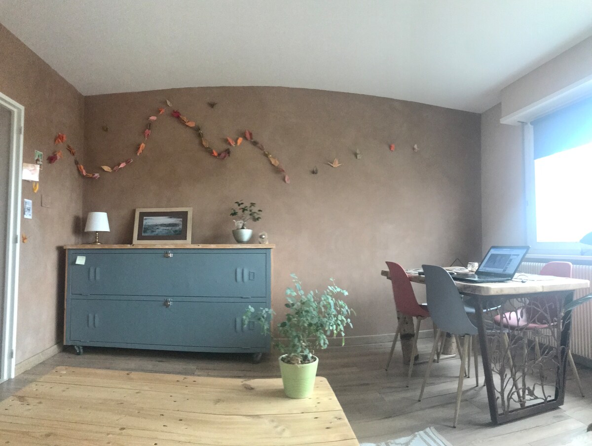 Chambre Chez L'habitant Hœnheim 664903