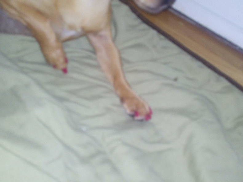 Quedarse En Casa Montréal 212292-2