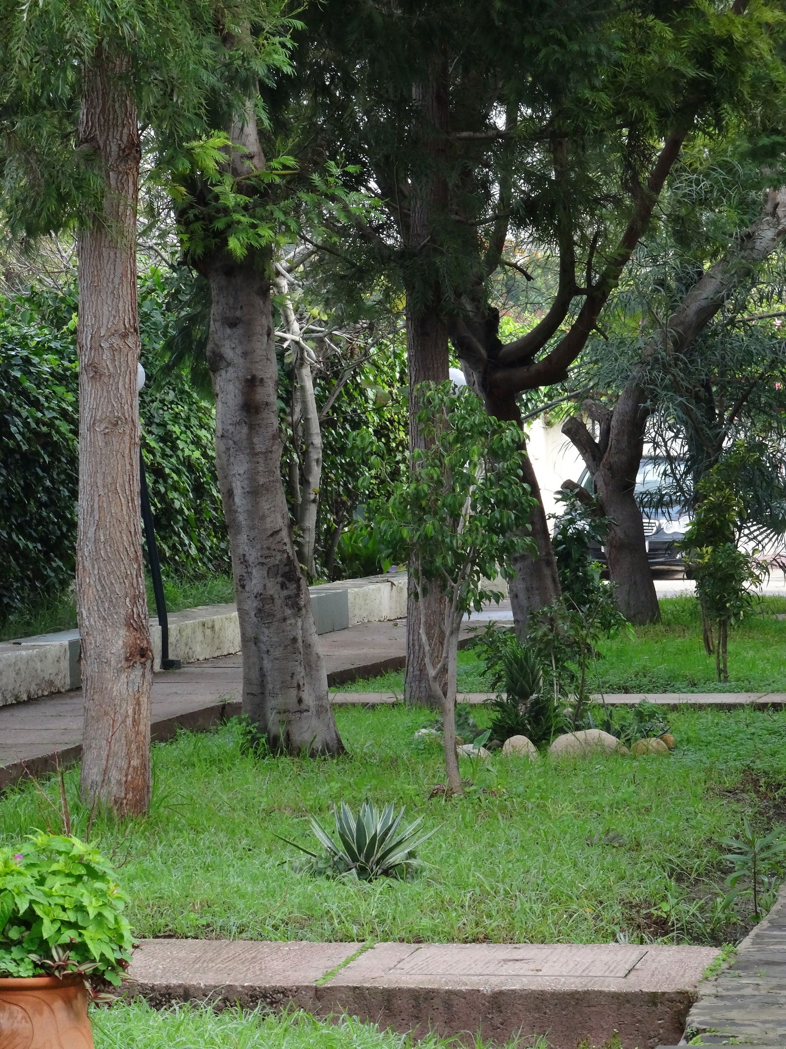 Chambre Chez L'habitant Rabat 91611
