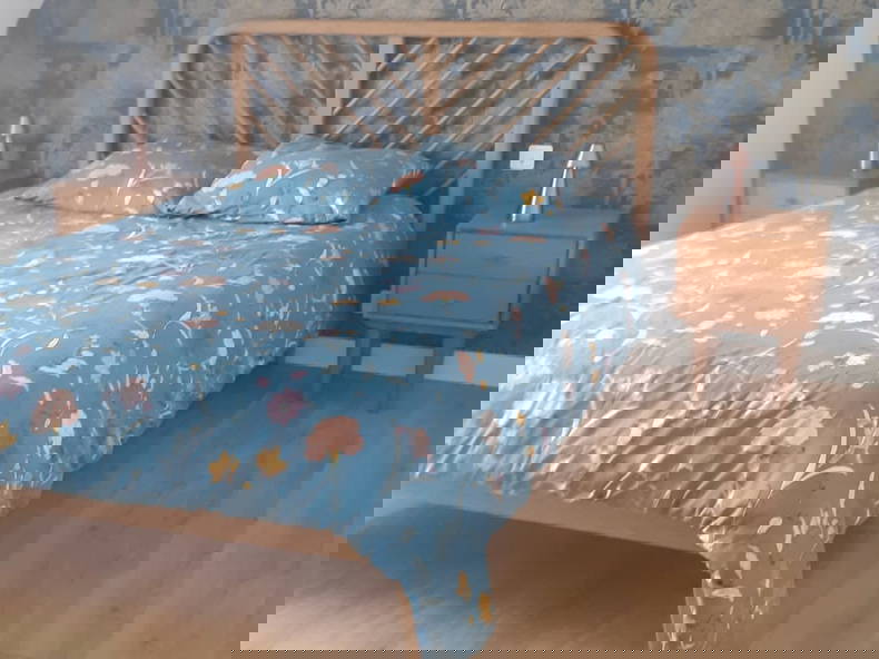 Homestay Cesson-Sévigné 594005-2