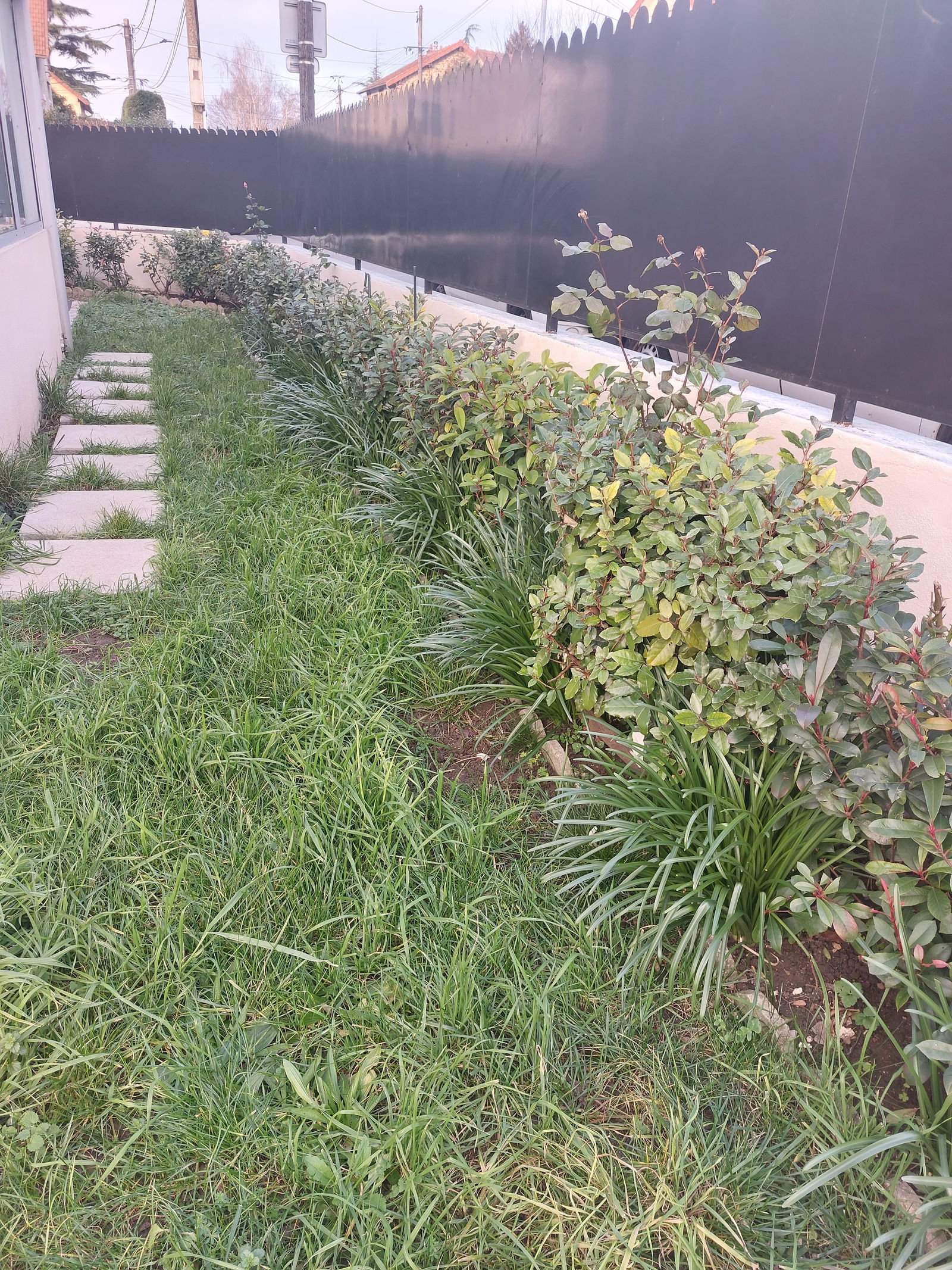 Chambre Chez L'habitant Chelles 472711