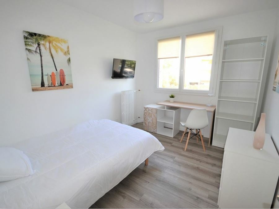 Colocation Montpellier 249529