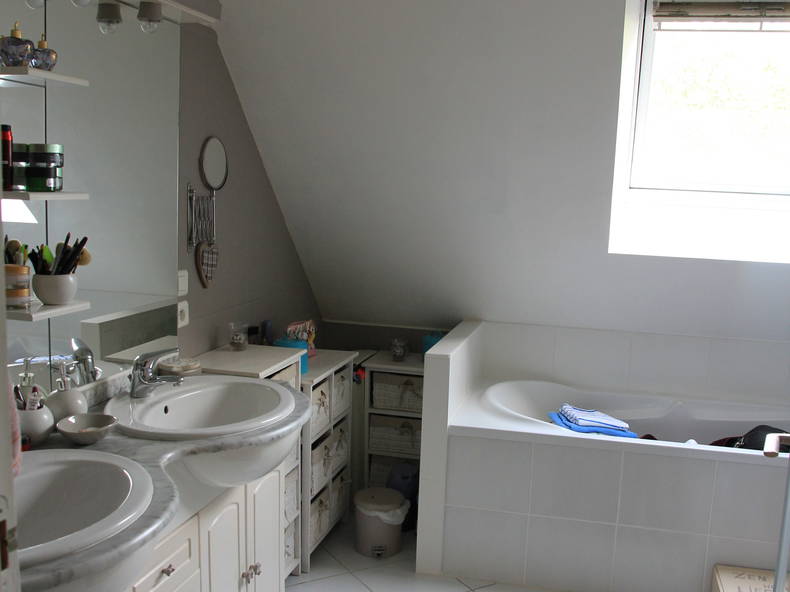 Kolokasie Guérande 132014-3