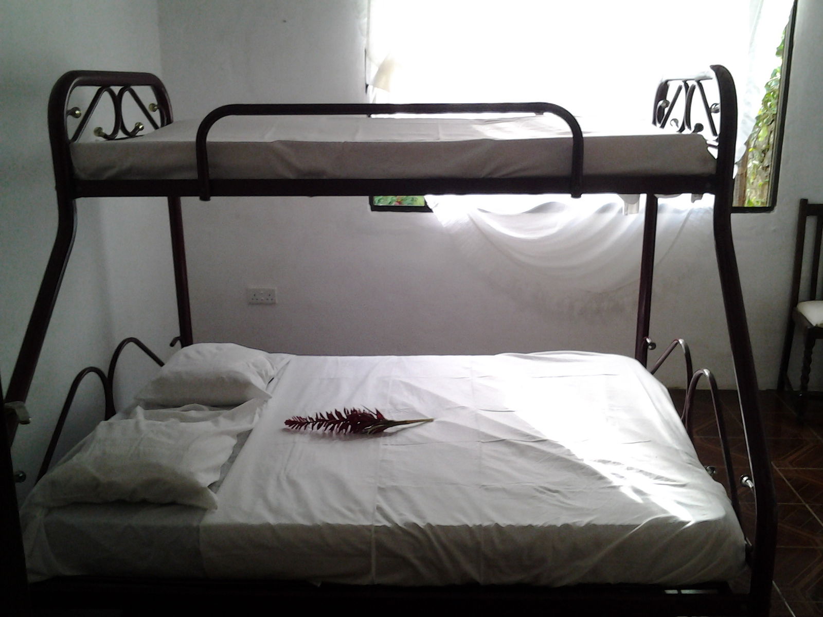 Chambre Chez L'habitant Victoria 115860