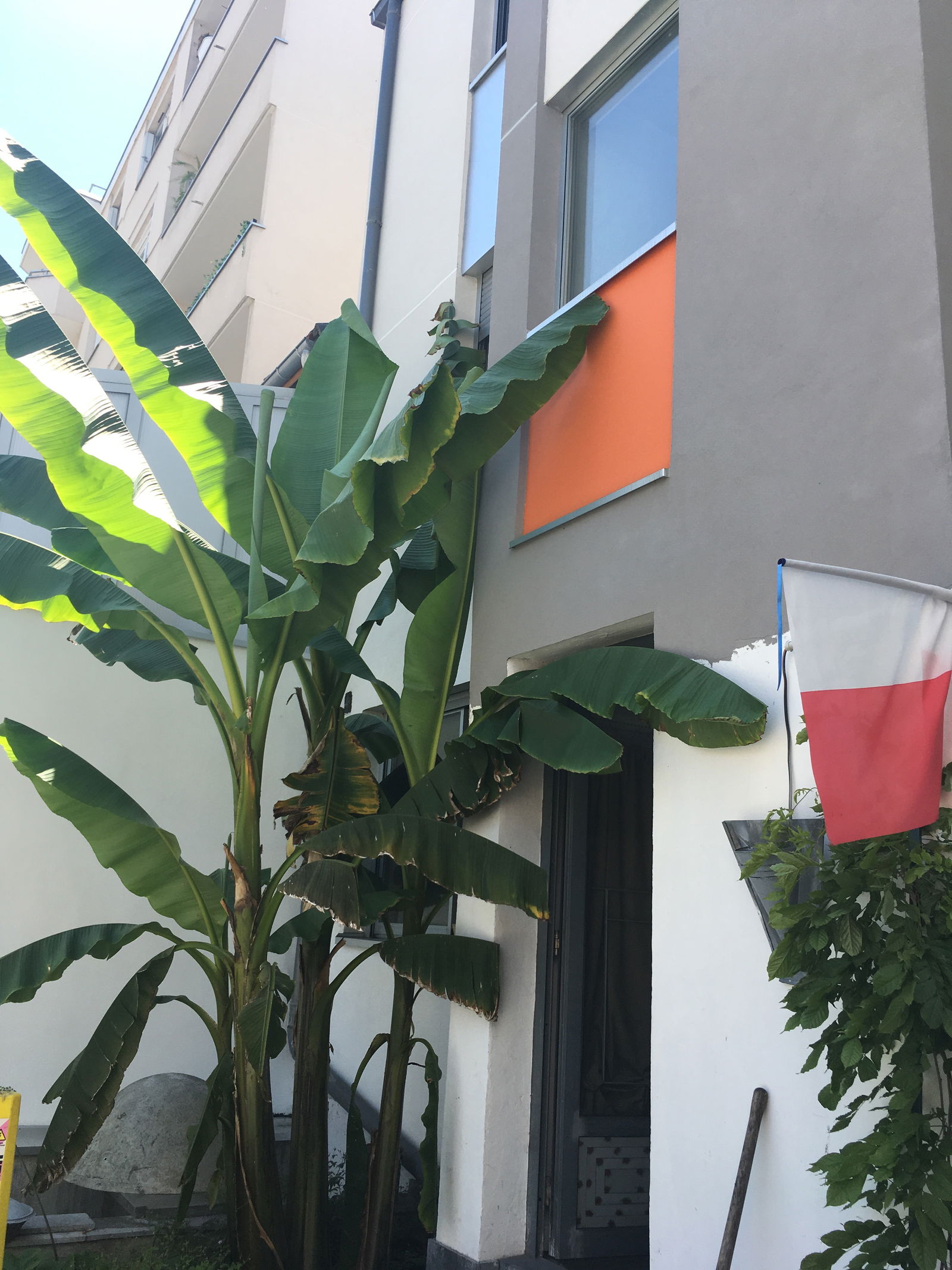 Gastfamilie Boulogne-Billancourt 237185