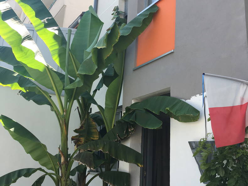 Famiglia Boulogne-Billancourt 237185-1