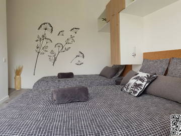 Chambre À Louer Nancy 258301