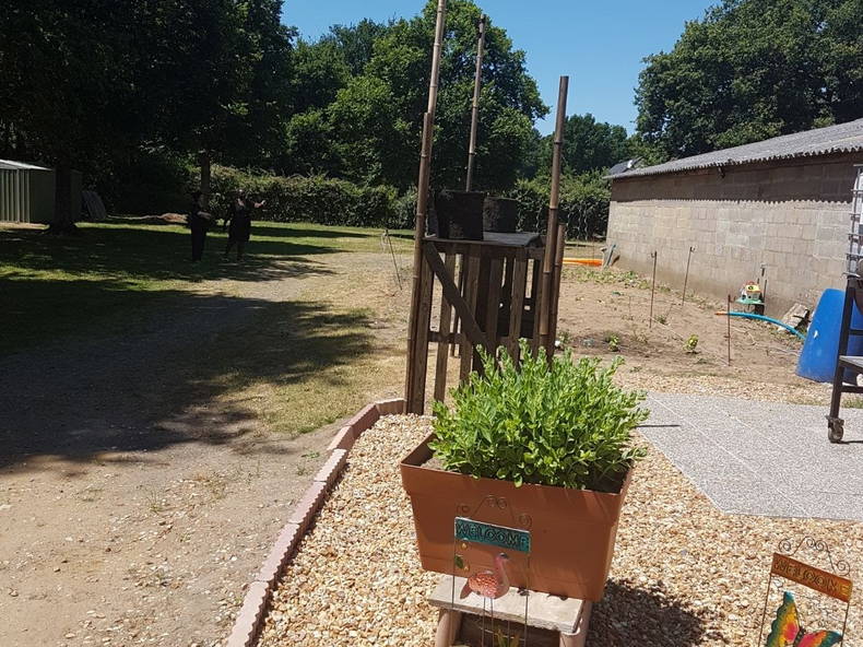 Kolokation Ruaudin 209199-5