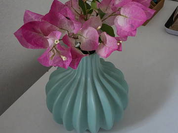 Gastfamilie Petit-Bourg 662411-4