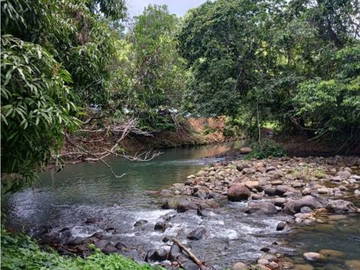 Chambre Chez L'habitant Petit-Bourg 662411-23